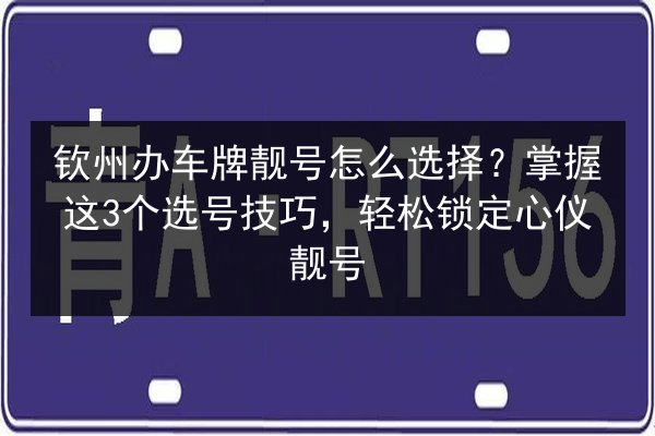 钦州办车牌靓号怎么选择?掌握这3个选号技巧,轻松锁定心仪靓号 第2张 钦州办车牌靓号怎么选择?掌握这3个选号技巧,轻松锁定心仪靓号 第2张