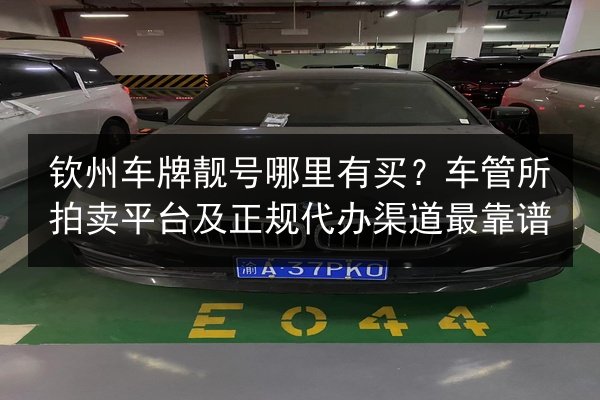 钦州车牌靓号哪里有买?车管所拍卖平台及正规代办渠道最靠谱 第2张 钦州车牌靓号哪里有买?车管所拍卖平台及正规代办渠道最靠谱 第2张