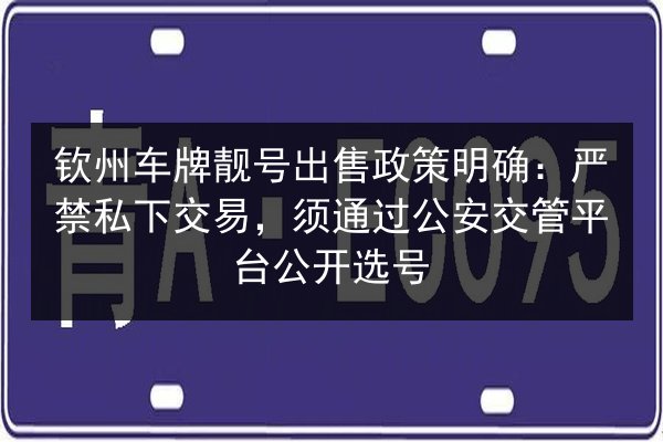 钦州车牌靓号出售政策明确：严禁私下交易，须通过公安交管平台公开选号 第2张