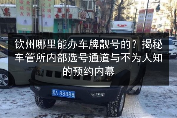 钦州哪里能办车牌靓号的？揭秘车管所内部选号通道与不为人知的预约内幕 第2张