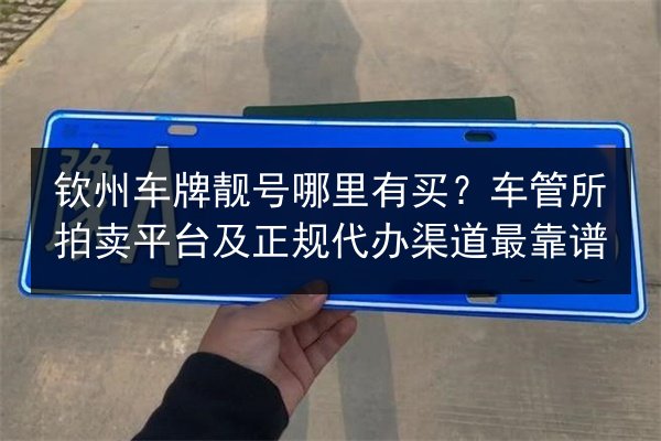 钦州车牌靓号哪里有买?车管所拍卖平台及正规代办渠道最靠谱 第3张 钦州车牌靓号哪里有买?车管所拍卖平台及正规代办渠道最靠谱 第3张
