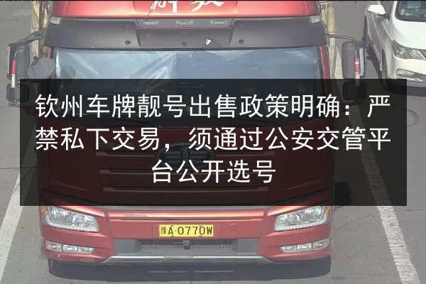 钦州车牌靓号出售政策明确：严禁私下交易，须通过公安交管平台公开选号 第3张