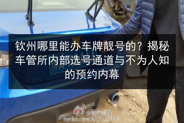 钦州哪里能办车牌靓号的？揭秘车管所内部选号通道与不为人知的预约内幕 第3张