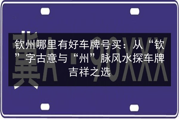 钦州哪里有好车牌号买：从“钦”字古意与“州”脉风水探车牌吉祥之选 第3张