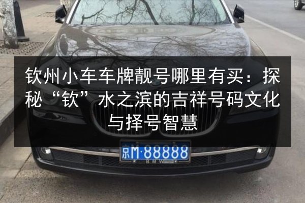 钦州小车车牌靓号哪里有买：探秘“钦”水之滨的吉祥号码文化与择号智慧 第1张