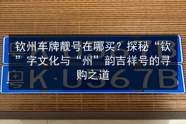 钦州车牌靓号在哪买？探秘“钦”字文化与“州”韵吉祥号的寻购之道 第2张