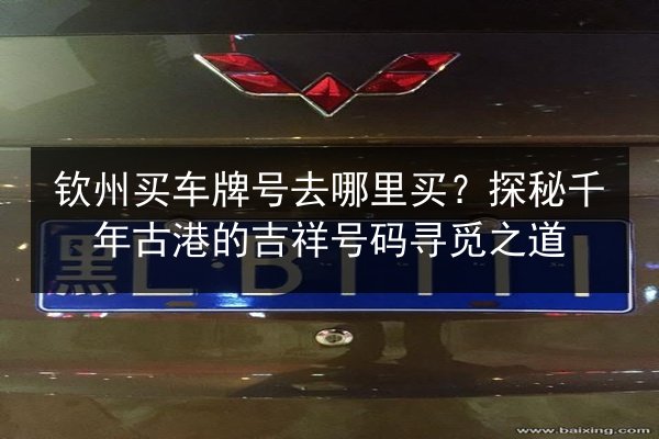 钦州买车牌号去哪里买?探秘千年古港的吉祥号码寻觅之道 第2张 钦州买车牌号去哪里买?探秘千年古港的吉祥号码寻觅之道 第2张