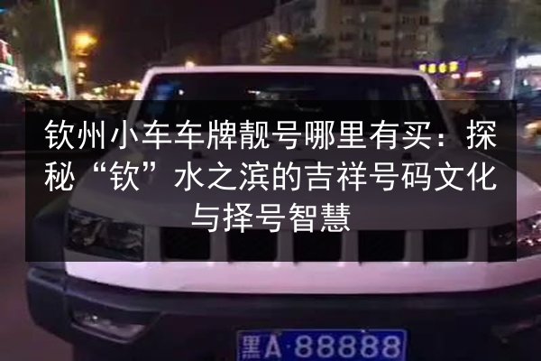 钦州小车车牌靓号哪里有买：探秘“钦”水之滨的吉祥号码文化与择号智慧 第3张
