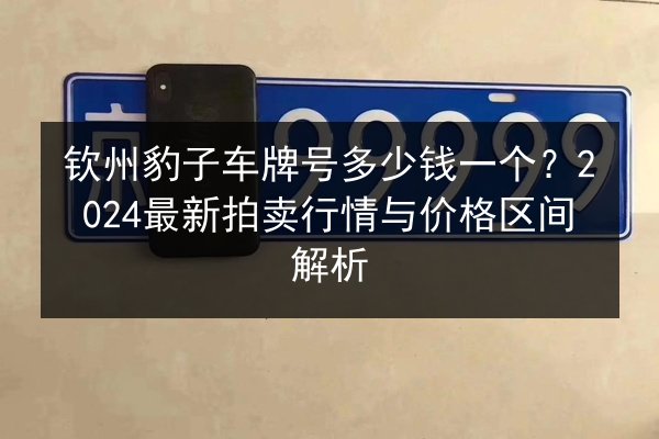 钦州豹子车牌号多少钱一个？2024最新拍卖行情与价格区间解析 第2张
