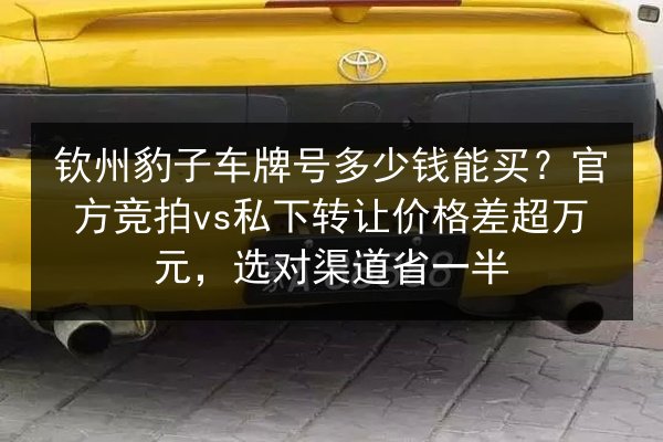 钦州豹子车牌号多少钱能买？官方竞拍vs私下转让价格差超万元，选对渠道省一半 第2张