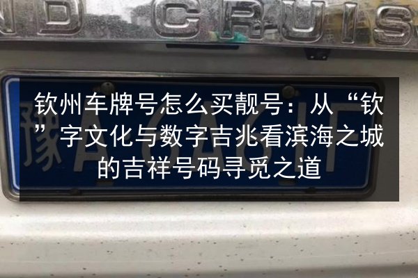 钦州车牌号怎么买靓号:从“钦”字文化与数字吉兆看滨海之城的吉祥号码寻觅之道 第3张 钦州车牌号怎么买靓号:从“钦”字文化与数字吉兆看滨海之城的吉祥号码寻觅之道 第3张