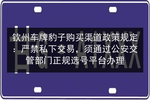 钦州车牌豹子购买渠道政策规定：严禁私下交易，须通过公安交管部门正规选号平台办理 第2张