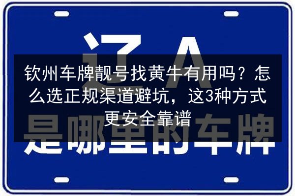 钦州车牌靓号找黄牛有用吗?怎么选正规渠道避坑,这3种方式更安全靠谱 第3张 钦州车牌靓号找黄牛有用吗?怎么选正规渠道避坑,这3种方式更安全靠谱 第3张
