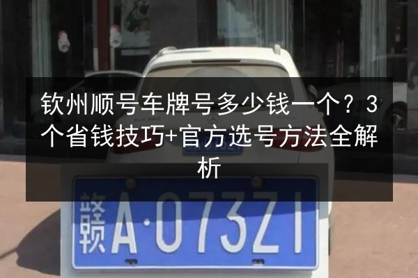 钦州顺号车牌号多少钱一个？3个省钱技巧+官方选号方法全解析 第2张