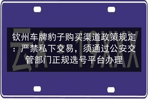 钦州车牌豹子购买渠道政策规定：严禁私下交易，须通过公安交管部门正规选号平台办理 第3张