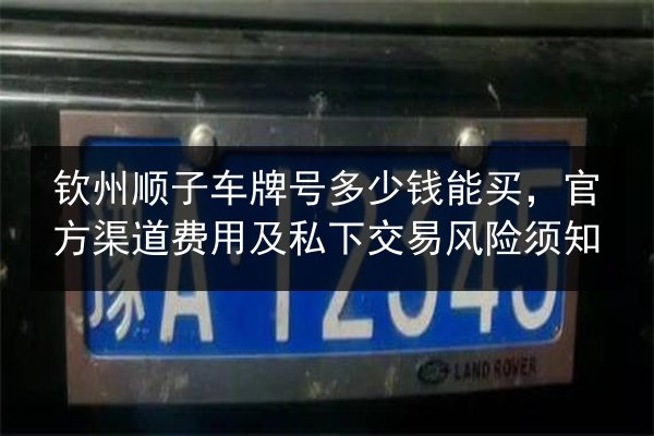 钦州顺子车牌号多少钱能买,官方渠道费用及私下交易风险须知 第2张 钦州顺子车牌号多少钱能买,官方渠道费用及私下交易风险须知 第2张