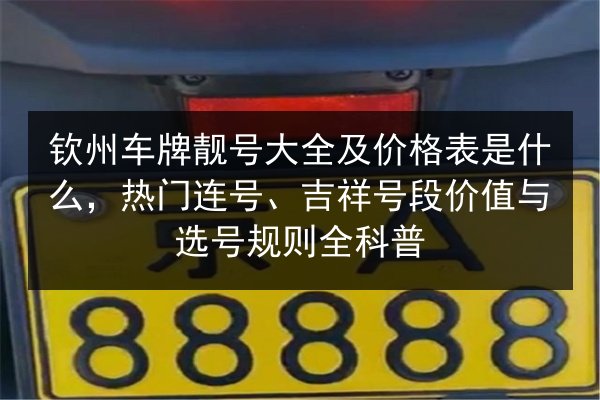 钦州车牌靓号大全及价格表是什么，热门连号、吉祥号段价值与选号规则全科普 第3张
