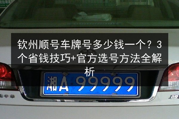 钦州顺号车牌号多少钱一个？3个省钱技巧+官方选号方法全解析 第3张