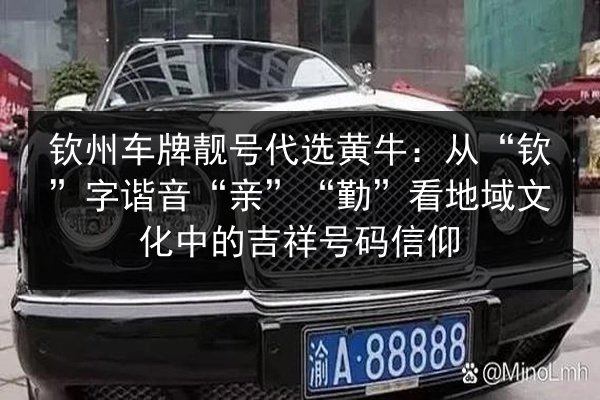 钦州车牌靓号代选黄牛：从“钦”字谐音“亲”“勤”看地域文化中的吉祥号码信仰 第2张