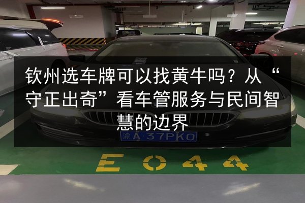 钦州选车牌可以找黄牛吗?从“守正出奇”看车管服务与民间智慧的边界 第2张 钦州选车牌可以找黄牛吗?从“守正出奇”看车管服务与民间智慧的边界 第2张