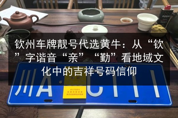 钦州车牌靓号代选黄牛：从“钦”字谐音“亲”“勤”看地域文化中的吉祥号码信仰 第3张