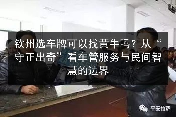 钦州选车牌可以找黄牛吗?从“守正出奇”看车管服务与民间智慧的边界 第3张 钦州选车牌可以找黄牛吗?从“守正出奇”看车管服务与民间智慧的边界 第3张