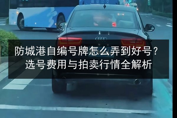 防城港自编号牌怎么弄到好号?选号费用与拍卖行情全解析 第2张 防城港自编号牌怎么弄到好号?选号费用与拍卖行情全解析 第2张