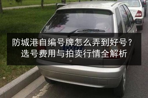 防城港自编号牌怎么弄到好号?选号费用与拍卖行情全解析 第3张 防城港自编号牌怎么弄到好号?选号费用与拍卖行情全解析 第3张