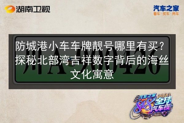 防城港小车车牌靓号哪里有买?探秘北部湾吉祥数字背后的海丝文化寓意 第3张 防城港小车车牌靓号哪里有买?探秘北部湾吉祥数字背后的海丝文化寓意 第3张