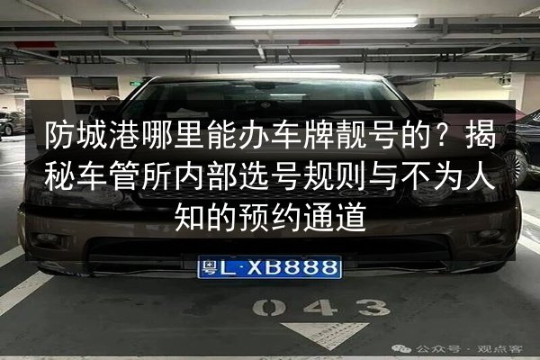 防城港哪里能办车牌靓号的？揭秘车管所内部选号规则与不为人知的预约通道 第2张