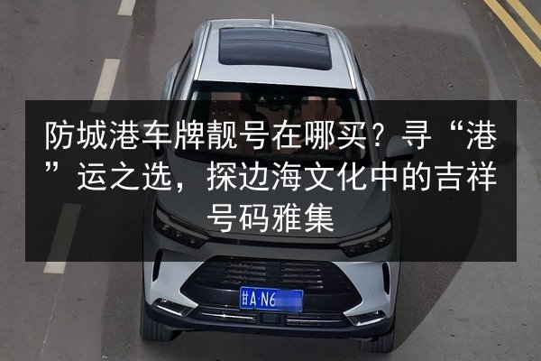 防城港车牌靓号在哪买?寻“港”运之选,探边海文化中的吉祥号码雅集 第2张 防城港车牌靓号在哪买?寻“港”运之选,探边海文化中的吉祥号码雅集 第2张