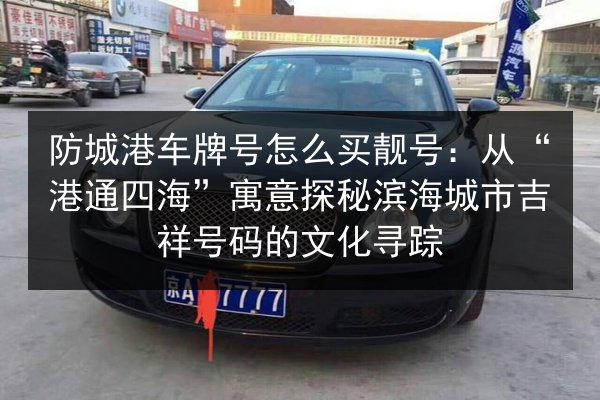 防城港车牌号怎么买靓号:从“港通四海”寓意探秘滨海城市吉祥号码的文化寻踪 第3张 防城港车牌号怎么买靓号:从“港通四海”寓意探秘滨海城市吉祥号码的文化寻踪 第3张