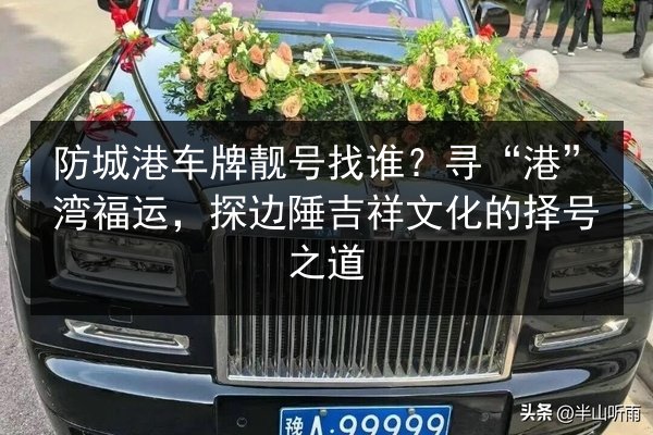 防城港车牌靓号找谁？寻“港”湾福运，探边陲吉祥文化的择号之道 第3张