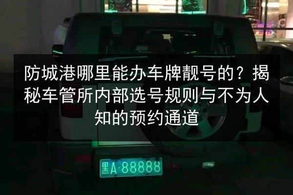 防城港哪里能办车牌靓号的？揭秘车管所内部选号规则与不为人知的预约通道 第3张