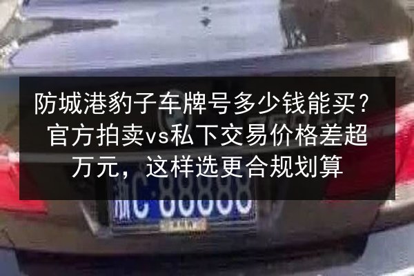 防城港豹子车牌号多少钱能买?官方拍卖vs私下交易价格差超万元,这样选更合规划算 第2张 防城港豹子车牌号多少钱能买?官方拍卖vs私下交易价格差超万元,这样选更合规划算 第2张