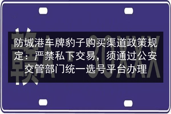 防城港车牌豹子购买渠道政策规定:严禁私下交易,须通过公安交管部门统一选号平台办理 第1张 防城港车牌豹子购买渠道政策规定:严禁私下交易,须通过公安交管部门统一选号平台办理 第1张