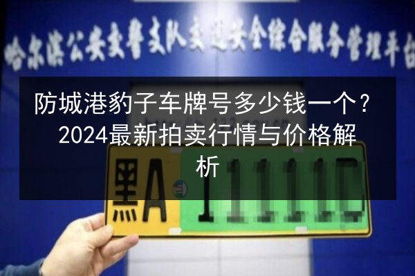 防城港豹子车牌号多少钱一个?2024最新拍卖行情与价格解析 第2张 防城港豹子车牌号多少钱一个?2024最新拍卖行情与价格解析 第2张