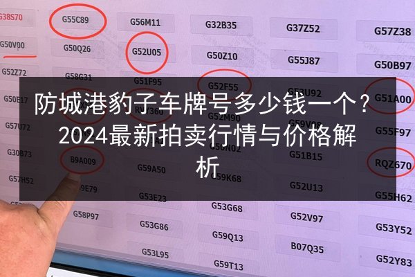 防城港豹子车牌号多少钱一个?2024最新拍卖行情与价格解析 第3张 防城港豹子车牌号多少钱一个?2024最新拍卖行情与价格解析 第3张
