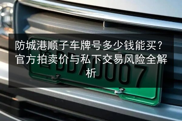 防城港顺子车牌号多少钱能买？官方拍卖价与私下交易风险全解析 第1张
