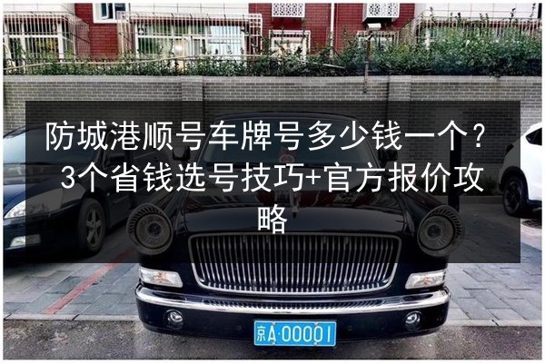 防城港顺号车牌号多少钱一个？3个省钱选号技巧+官方报价攻略 第3张