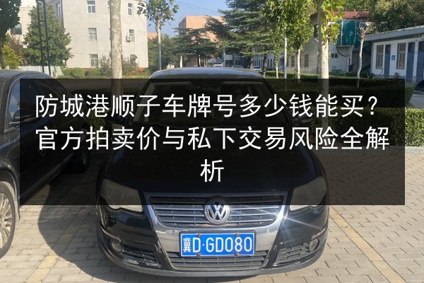 防城港顺子车牌号多少钱能买？官方拍卖价与私下交易风险全解析 第2张