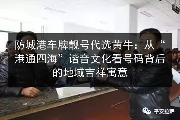 防城港车牌靓号代选黄牛:从“港通四海”谐音文化看号码背后的地域吉祥寓意 第2张 防城港车牌靓号代选黄牛:从“港通四海”谐音文化看号码背后的地域吉祥寓意 第2张