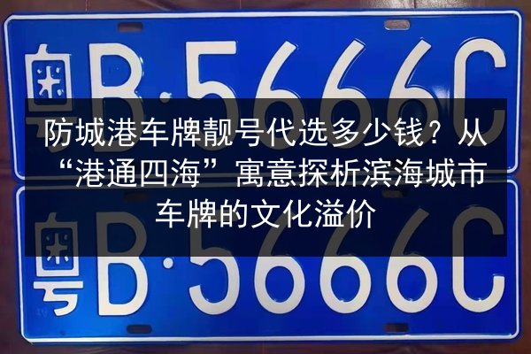 防城港车牌靓号代选多少钱？从“港通四海”寓意探析滨海城市车牌的文化溢价 第1张