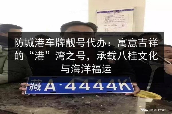 防城港车牌靓号代办:寓意吉祥的“港”湾之号,承载八桂文化与海洋福运 第2张 防城港车牌靓号代办:寓意吉祥的“港”湾之号,承载八桂文化与海洋福运 第2张