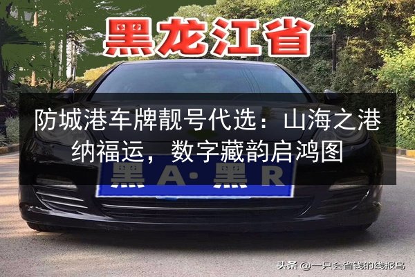 防城港车牌靓号代选：山海之港纳福运，数字藏韵启鸿图 第3张