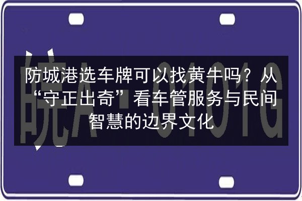 防城港选车牌可以找黄牛吗？从“守正出奇”看车管服务与民间智慧的边界文化 第3张