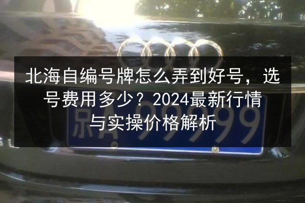 北海自编号牌怎么弄到好号,选号费用多少?2024最新行情与实操价格解析 第1张 北海自编号牌怎么弄到好号,选号费用多少?2024最新行情与实操价格解析 第1张