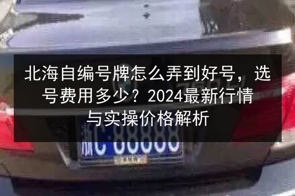北海自编号牌怎么弄到好号,选号费用多少?2024最新行情与实操价格解析 第3张 北海自编号牌怎么弄到好号,选号费用多少?2024最新行情与实操价格解析 第3张