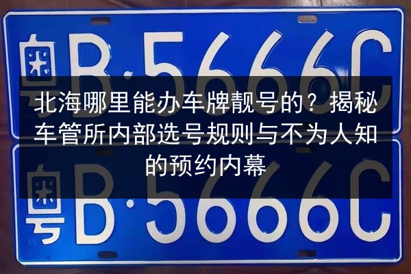 北海哪里能办车牌靓号的？揭秘车管所内部选号规则与不为人知的预约内幕 第3张