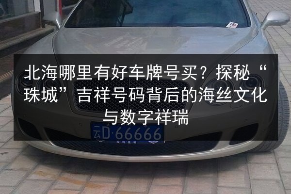 北海哪里有好车牌号买?探秘“珠城”吉祥号码背后的海丝文化与数字祥瑞 第2张 北海哪里有好车牌号买?探秘“珠城”吉祥号码背后的海丝文化与数字祥瑞 第2张